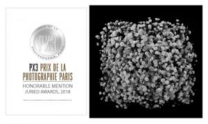 HONORABLE MENTION WINNER OF PX3, Prix De La Photographie Paris